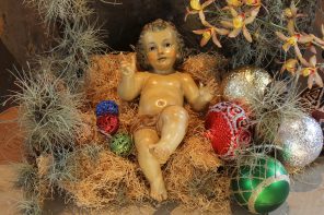 cathopic_1484338914536136